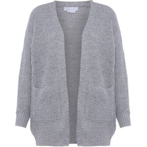 BLONDA Gebreid vest  grijs