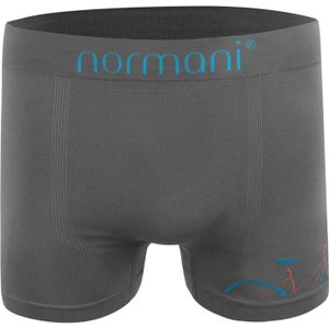 normani Boxershorts  blauw / antraciet