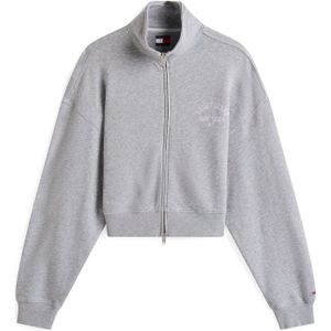 Tommy Jeans Sweatvest  grijs gemêleerd / lila / wit