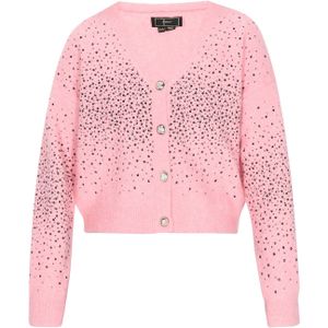 faina Gebreid vest  rosé