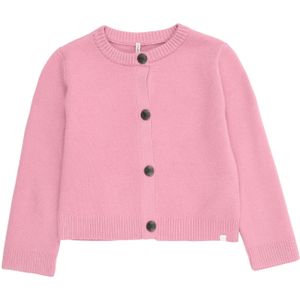 Only Mini Gebreid vest 'KMGKELLY'  sering