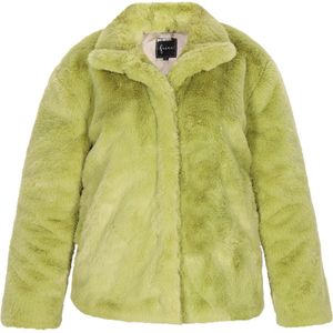 faina Winterjas  groen
