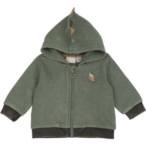 Chicco Sweatvest  groen gemêleerd