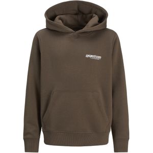 Jack & Jones Junior Sweatshirt  bruin / lichtgrijs