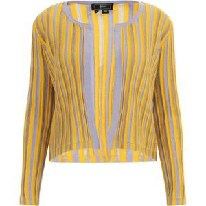faina Gebreid vest  geel / goud / lavendel