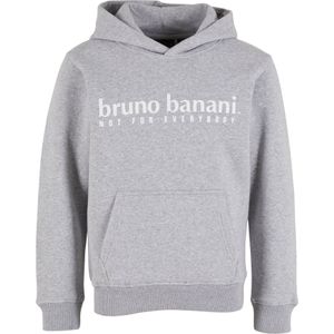 Bruno Banani Sweatshirt  grijs gemêleerd / wit