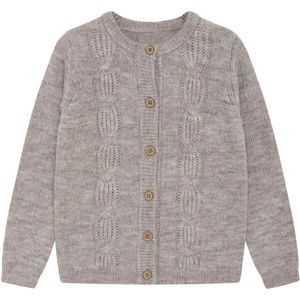 NOA NOA miniature Gebreid vest 'Finola'  grijs