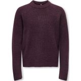 ONLY GIRLS Trui 'KOGCAMILLA'  wijnrood