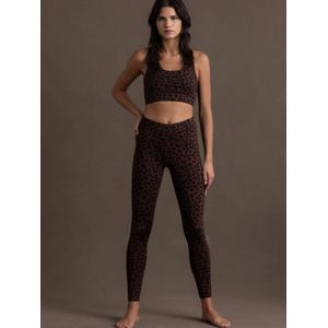 Hey Honey Leggings 'Leo'  chocoladebruin
