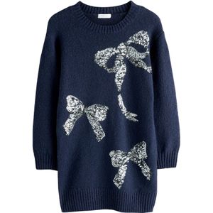 Next Jurk  navy / zilver