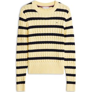 TOMMY HILFIGER Trui  marine / geel