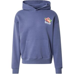 HOLLISTER Sweatshirt  indigo