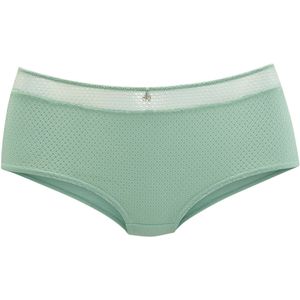 Nuance - Hipster - Salie - Met Fijne Sierstrik en Sieraadaccessoire