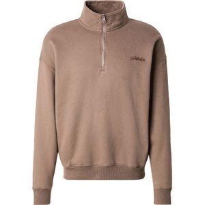 HOLLISTER Sweatshirt  lichtbruin