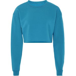 Exide Sweatshirt  hemelsblauw