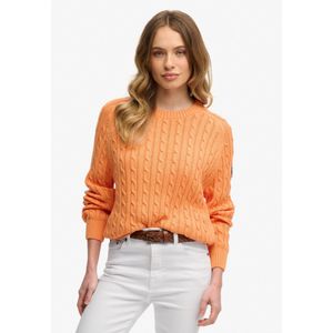 Superdry Trui  oranje