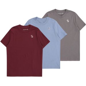 Abercrombie & Fitch Shirt  lichtblauw / donkergrijs / kersrood / wit