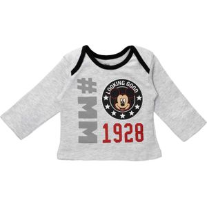 DISNEY Shirt 'Minnie Mouse'  grijs / grijs gemêleerd / rood / zwart