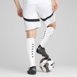 PUMA - Egypte 2025 - Short - Grijs/Wit