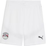 PUMA - Egypte 2025 - Short - Grijs/Wit