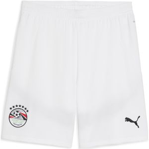 PUMA - Egypte 2025 - Short - Grijs/Wit