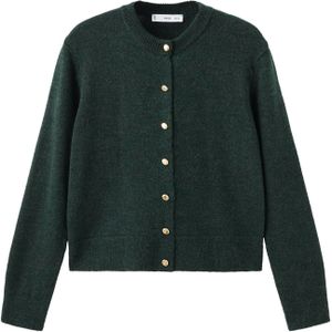 Mango - Gebreid Vest - Donkergroen
