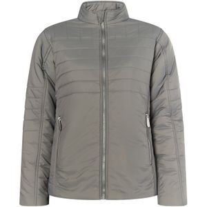 faina Tussenjas  grijs