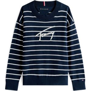 TOMMY HILFIGER Trui  donkerblauw / wit