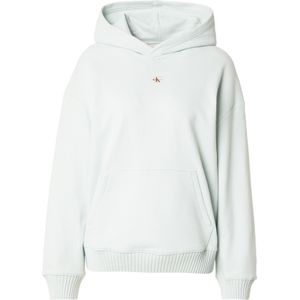 Calvin Klein Jeans Sweatshirt  mintgroen