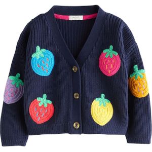 Next Gebreid vest  navy / lichtblauw / geel / rood