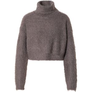 TOPSHOP Trui  donkergrijs