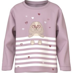 NAME IT Shirt 'NMFVALIANE'  grijs / eosine / wit