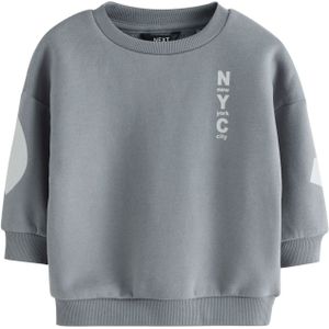 Next Sweatshirt  grijs / lichtgrijs
