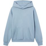 Champion - Authentic Athletic Apparel - Trui - Lichtblauw - Capuchon