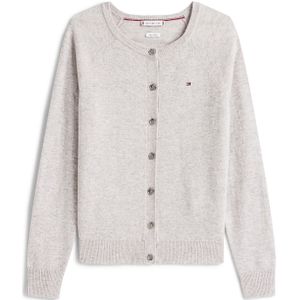 TOMMY HILFIGER Gebreid vest  grijs