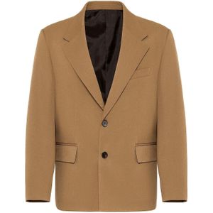 Antioch Colbert  camel