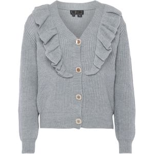 caspio Gebreid vest  lichtgrijs