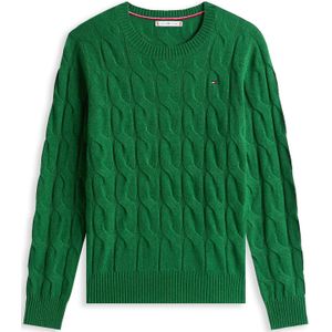 TOMMY HILFIGER Trui  groen