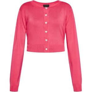 NAEMI Gebreid vest  framboos / parelwit