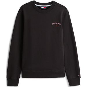 Tommy Jeans Sweatshirt  blauw / roestrood / zwart / wit