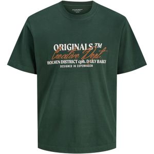 JACK & JONES Shirt  groen