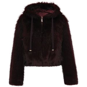 faina Tussenjas  bourgogne