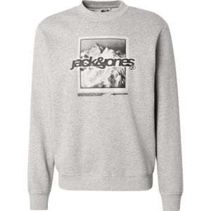 JACK & JONES Sweatshirt 'JCOFLARE'  grijs / lichtgrijs / zwart