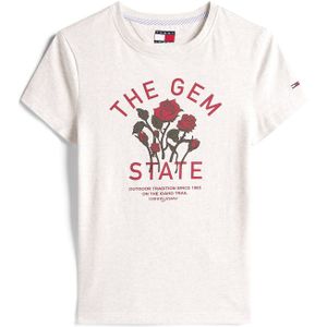 Tommy Jeans Shirt  lichtgrijs / olijfgroen / rood