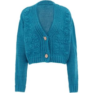 Mymo - Jumper - Turkoois - Gebreid Vest - V-hals - Knoopsluiting