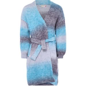 ebeeza Gebreid vest  blauw / lichtblauw / grijs / lichtgrijs