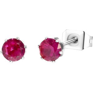 Lucardi - Oorbellen - Zilver - Stainless Steel - Waterproof