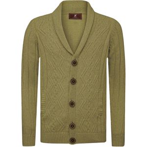 Williot Gebreid vest  groen