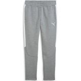 Broek Puma Evostripe