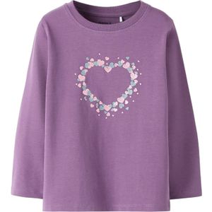 NAME IT Shirt 'NMFSOLA'  lavendel / pink / zilver